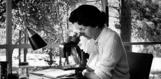 Rachel Carson Biography in Hindi